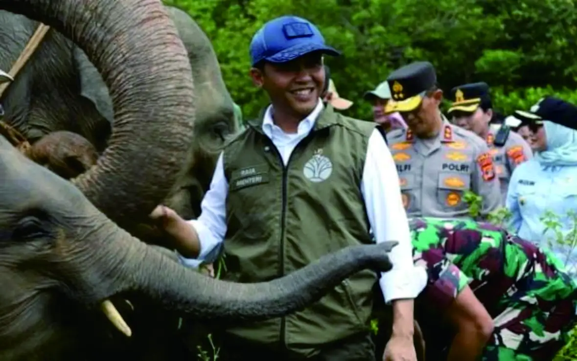 Presiden Prabowo Terbitkan Inpres Nomor 8 Tahun 2026, Tentang Penyelamatan Populasi dan Habitat Gajah Sumatera dan Gajah Kalimantan